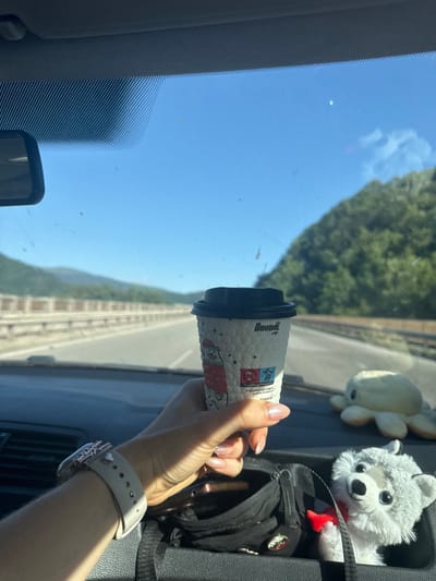 A person's hand holds a coffee cup in front of a car windshield. The coffee cup is white with a black lid and features a cartoon illustration of a bear and text that reads "Boomdi.cof." and "PLASTIC IN PRODUCT" and "СЪДЪРЖА ПЛАСТМАСА" and "PLASTIC IN PRODUS". The hand has painted fingernails and is wearing a white smartwatch with a heart charm on the buckle.
In the background, through the windshield, a bright blue sky is visible, with some trees and a road. The scene appears to be taking place during the day, under sunny weather. Two plush toys, a light-colored seal and a gray wolf, are visible on the dashboard. The setting is inside a car, likely traveling on a road, given the view outside. The overall mood seems relaxed and casual, possibly during a road trip.