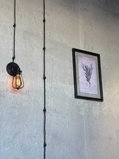 An interior wall in Shlisselburg, Russia, presents a light grey, textured surface. Mounted on the left is a black, industrial-style wall sconce featuring a wire cage, within which an Edison-style filament bulb emits a warm orange light. Two vertical runs of exposed black braided electrical cable, secured at intervals by dark, ornate metal cleats, ascend the wall; one cable leads to the sconce. To the right, a rectangular picture with a dark, distressed frame hangs, enclosing a botanical illustration on a light purple background. The illustration depicts a multi-branched plant specimen, accompanied by smaller schematic drawings below it.