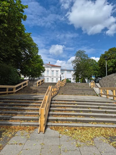The image depicts a wide, outdoor stone staircase leading up to a white, two-story building with a red-tiled roof. The staircase is partially covered with fallen leaves, primarily yellow and brown, suggesting it might be autumn or early spring. Wooden railings, appearing to be temporary or newly installed, line the sides of the stairs and a ramp on the right. A person, dressed in dark clothing, is standing halfway up the stairs, looking towards the building. Large, mature green trees surround the staircase and the building, and the sky above is a bright blue with scattered white clouds. The scene is likely set in an urban environment, possibly a park or public space within the city of Brunswick, Germany, given the architectural style and landscaping. The overall impression is one of a transition or renovation, with the new railings and fallen leaves indicating a change in season or ongoing work.