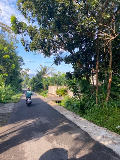 The image shows a paved road in Piyungan, Indonesia, located at coordinates -7.827 latitude and 110.483 longitude. A single person is riding a black motorcycle on the road. The person is wearing a dark blue shirt and is facing forward, towards the right of the image. The motorcycle is moving from the left side of the image towards the right side. There are green trees and bushes on both sides of the road. There are a few plants and a short wall on the right side of the road. There is a concrete curb on the right side of the road separating the paved road from the unpaved area. The sky is blue with white clouds. The image was taken during the day.