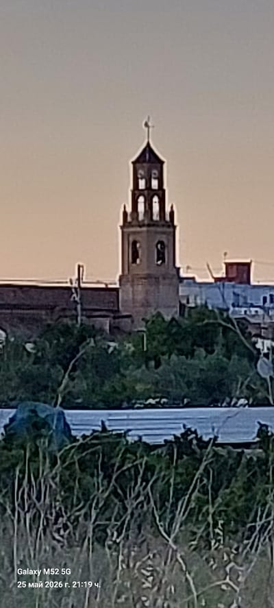 The image depicts a church bell tower, likely the Church of San Roque in L'Alcúdia de Crespins, Spain, viewed from a distance. The tower is light-colored stone with several tiers and arched openings. A cross adorns the top. The background sky is a pale orange, suggesting sunrise or sunset. In the foreground, there is vegetation, including trees and shrubs, partially obscuring the lower portion of the tower. A road or sidewalk can be seen beside the vegetation. A watermark on the lower right indicates the photo was taken with a Galaxy M52 5G on May 25, 2026, at 21:19.