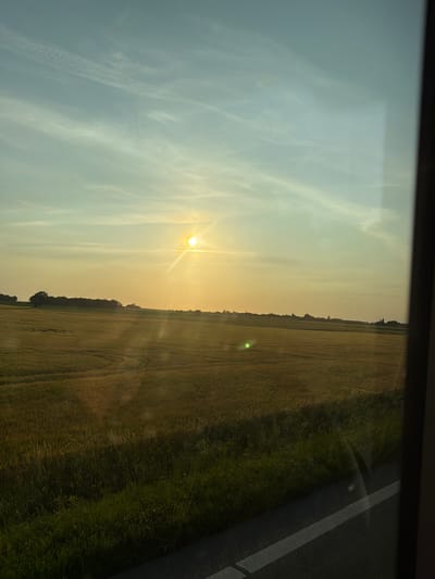 A wide-angle shot captures a sun-drenched rural landscape in Gedesby, Denmark. The sun, a brilliant orb, hangs high in a pale blue, cloud-streaked sky, casting long, warm rays across a vast field of golden wheat. The field is gently undulating, with subtle patterns suggesting cultivation or natural contours. A line of dark green trees borders the horizon in the distance, punctuated by a few scattered structures. In the foreground, a strip of dark asphalt, marked with a white line, suggests a road or pathway. The overall impression is one of serene natural beauty and agricultural activity under a warm, late-afternoon sun.