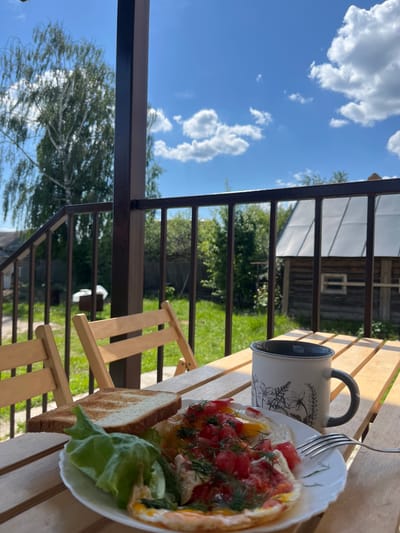 The image captures an inviting outdoor meal scene on a bright, sunny day, likely taken from a balcony, deck, or porch. The perspective looks downwards and outwards, with the horizon line slanted.
In the foreground, a wooden slatted table holds a rustic yet appealing breakfast or brunch setup. A white ceramic mug with a dark grey handle and rim is visible, adorned with a delicate floral design. Beside the mug, a white plate presents an omelet or fried eggs topped generously with diced red tomatoes and fresh dill. A piece of golden-brown toast and a vibrant green lettuce leaf are also on the plate, with a silver fork resting on its edge.
The scene is framed by dark brown metal railings, which span vertically on the left and horizontally across the middle, separating the dining area from the landscape beyond. The background reveals a picturesque rural or semi-rural setting. Lush green grass and numerous trees fill the middle ground. Further in the distance, a wooden building, possibly a cabin or a traditional house, is visible, partially obscured by foliage. A section of a reflective roof, perhaps belonging to a greenhouse, is also discernible near the building.
Above the landscape, the sky is a vivid blue, dotted with scattered white, fluffy clouds, indicating excellent weather. The strong sunlight casts distinct shadows, suggesting it is mid-morning or early afternoon. The overall impression is one of tranquility and simple pleasure, enjoying a meal outdoors in a natural setting. The location context of Новая Тура, Russia, aligns with the rustic and natural elements depicted. There is no discernible text visible in the image.