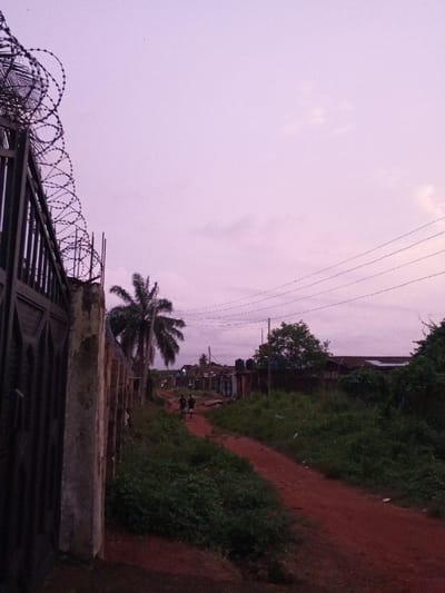The image depicts a twilight scene in Uselu, Nigeria, characterized by a reddish-brown dirt path winding into the distance under a pale purple-pink sky. In the immediate foreground on the left, a dark metal gate, adorned with decorative patterns and topped with coils of razor wire, stands beside a rough concrete wall. Two individuals, appearing as dark silhouettes, walk away from the viewer along the dirt path in the middle ground. The path is flanked by dense green vegetation and sparse grass. To the right of the gate, a tall palm tree with dark fronds is prominent. Further into the scene, various low-rise structures with corrugated roofs and darker walls line both sides of the path, several featuring black water storage tanks on their rooftops. Overhead, multiple black utility wires stretch horizontally across the sky, supported by an unseen pole to the right. The overall environment suggests a residential area with unpaved roads and visible utility infrastructure.