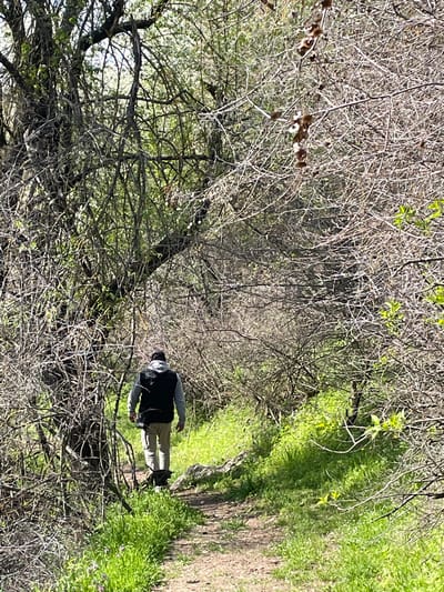 A person is walking on a path through a wooded area. The path is lined with green grass and small purple flowers on the right, with dense, leafless branches on the left. The person is wearing a gray long-sleeved shirt, a black vest, and tan pants. They are also wearing a black and white covering on their head and face. The wooded area appears to be dense and overgrown. The location in the city of Barkach, Bulgaria is not discernible from this image.