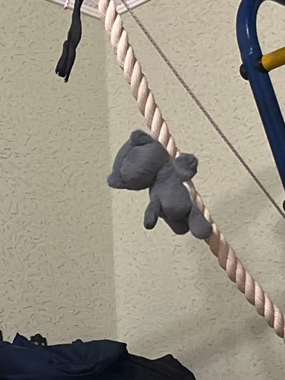 A grey stuffed toy animal, possibly an elephant, is hanging on a thick, tan rope. The toy appears to be suspended and is positioned on the right side of the rope. The background is a textured, light-colored wall. To the right of the rope, a portion of a blue and yellow structure, likely part of a playground or climbing frame, is visible. In the upper left of the image, a black fabric object, perhaps a strap or piece of clothing, is hanging. The lower part of the image shows the corner of a dark blue object, possibly a bag or piece of clothing. The scene appears to be indoors. The city of Muravlenko, Russia is not discernible from the image.
