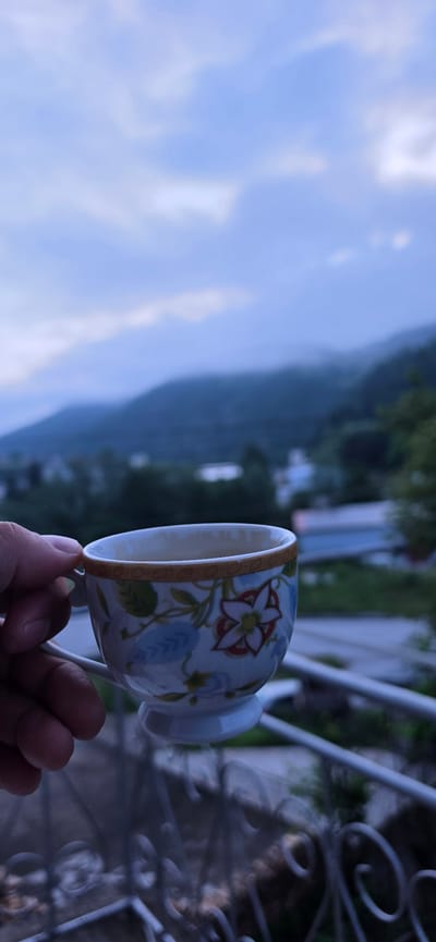 The image features a person's hand holding a decorative teacup or coffee cup against a scenic backdrop of mountains and sky. The cup is white ceramic, adorned with a colorful floral pattern that includes red and white flowers with yellow centers, complemented by blue and green leaves and vines. A delicate, gold-toned patterned band decorates the rim of the cup. The hand holding the cup appears to have a light to medium skin tone.

In the background, a soft, light blue sky with diffused white clouds occupies the left side of the frame. To the right and stretching into the distance, a hazy landscape of dark green mountains or hills is visible, partially obscured by mist or low clouds, indicating an overcast or foggy day. A white, ornate metal railing, likely part of a balcony or terrace, is present on the far right, suggesting a vantage point overlooking the scenery. The overall scene conveys a sense of peaceful enjoyment, perhaps of a beverage while admiring the view from Rudozem, Bulgaria. The time of day appears to be daytime under cloudy conditions. There is no visible text in the image.
