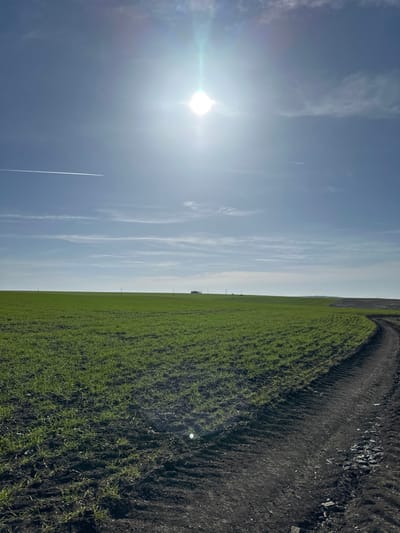This image captures an expansive agricultural landscape in Krumovo Gradishte, Bulgaria, under a clear, bright blue sky with scattered wispy clouds. The sun, emitting a strong lens flare and radial light, is positioned in the upper center. A thin white contrail from an aircraft is visible horizontally in the upper left quadrant.
The foreground and midground are dominated by a vast, vibrant green field of uniformly spaced young crops, indicating cultivation. A dark, unpaved dirt path, exhibiting distinct vehicle tire tracks, curves from the lower right corner into the midground, running along the perimeter of the green field. The soil on the path appears dark and loose, with small rocky fragments visible in the immediate foreground.
In the distant midground, along the flat horizon line, a dark, low-lying object, possibly a small structure or a piece of farm machinery, is visible. Several slender, vertical poles, consistent with utility infrastructure, are sparsely distributed across the distant field. No individuals or animals are present in the scene.