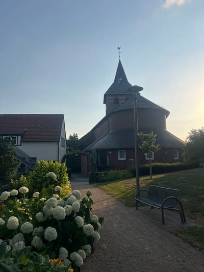 The image shows a church with a tall, pointed steeple and a circular tower, constructed of red brick and dark gray shingles. The church is situated next to a white building with a red-tiled roof. In the foreground, a lush bush of white hydrangeas blooms. To the right, a metal park bench sits on a paved walkway next to a gravel path. The scene is bathed in the warm, golden light of either sunrise or sunset, casting long shadows and illuminating the sky with a soft glow. The presence of a weather vane atop the steeple suggests an outdoor setting, likely in a village or town. The overall atmosphere is peaceful and serene. No people are visible in the image. There is no visible text.