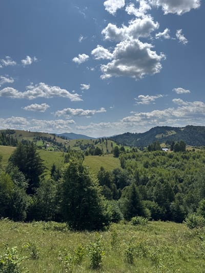The image depicts a rolling, verdant landscape under a bright blue sky dotted with fluffy white clouds. The scene is characterized by undulating hills covered in lush green grass and dense forests. Scattered throughout the hills are small clusters of houses, identifiable by their white roofs and structures, suggesting a rural or semi-rural settlement. The foreground is a field of wild grasses and small wildflowers, adding texture and a sense of untamed nature to the composition. In the midground and background, the landscape transitions into heavily wooded areas, with the trees forming a thick, deep green canopy that covers the slopes of the hills. The overall impression is one of a peaceful, natural environment, typical of the Romanian countryside. The location is identified as Vatra Moldoviței, Romania, a region known for its picturesque mountainous terrain and traditional villages.