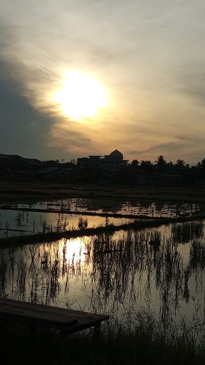 The image depicts a tranquil rural scene at sunset in Geulangganggampong, Indonesia. The sun, a bright orb of light, is partially obscured by wispy clouds, casting a warm, golden glow across the sky. The sky transitions from a bright yellow near the sun to a muted gray at the edges, suggesting the approaching twilight.
In the middle ground, silhouetted against the colorful sky, are buildings and trees. A prominent structure with a dome, likely a mosque, stands out, hinting at the cultural context of the location. The surrounding buildings appear to be houses or other rural structures, also in silhouette. Lush palm trees frame the buildings and stretch across the horizon.
The foreground is dominated by a flooded rice paddy field, which acts as a mirror reflecting the sky, the sun's glare, and the silhouettes of the rice stalks. The water is calm, creating a distorted yet beautiful reflection of the elements above. The rice stalks themselves appear tall and thin, their dark forms stark against the shimmering water.
In the extreme lower left corner of the image, a dark, wooden bench or table is visible, partially in shadow, with some grass growing around it. This object adds a touch of human presence to the otherwise natural landscape.
The overall mood of the image is peaceful and serene, evoking the quiet beauty of a sunset in a rural Indonesian setting. The warm colors of the sky and the reflective surface of the water create a sense of calm and contemplation. The time of day is clearly sunset, and the weather appears to be clear with some light cloud cover. There is no visible text in the image.