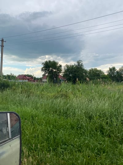The image shows a rural landscape on an overcast day, likely in Krylovskaya, Russia, as indicated by the presence of power lines and typical rural architecture. In the foreground, a patch of tall green grass and reeds dominates the lower half of the frame. A side mirror of a vehicle is visible on the left, reflecting a person's face. In the middle ground, several houses with red tile roofs are visible behind a fence, interspersed with trees. A utility pole stands on the left side of the image. The background consists of a dense line of trees and a cloudy sky. The overall scene is natural and depicts a quiet, possibly agricultural, area.