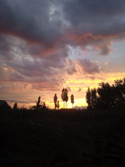 This is a landscape photograph capturing a dramatic sunset over a rural scene. The sky is filled with a vibrant array of colors, dominated by oranges, yellows, and pinks, with streaks of dark, brooding clouds creating a striking contrast. The sun appears to be setting just beyond a line of distant mountains, casting a warm glow across the sky.
In the foreground, the silhouettes of trees and vegetation are visible against the bright sky. Several tall, slender trees stand out, their branches reaching upwards. There is also a darker, denser line of trees and foliage across the middle ground, suggesting a wooded area or a field of crops. A hint of a structure, possibly a building with a slanted roof, is visible on the far left, partially obscured by the trees.
The overall impression is one of serene natural beauty and the end of a day. The vivid colors of the sunset evoke a sense of awe and tranquility. The time of day is clearly sunset, with the light conditions indicative of the golden hour. The location context provided, Taran-Bazar, Kyrgyzstan, suggests a mountainous or steppe-like environment. There is no visible text in the image.