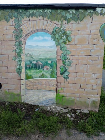 This media file is a photograph of a mural painted on a brick wall. The mural depicts a scenic view of rolling hills with trees and buildings, as if looking through an arched gateway. Lush green vines with leaves hang down on either side of the arch, framing the landscape. The landscape itself features a rural setting with a bright blue sky and fluffy white clouds. The wall the mural is painted on is made of light-colored bricks with darker grout lines, and some of the bricks show signs of wear and tear. At the bottom of the image, there is a patch of green grass and some dry, rocky ground. The overall impression is one of a serene and idyllic countryside. There is no visible text in the image. The lighting suggests it might be daytime, possibly late morning or early afternoon, given the brightness of the sky and the shadows. The location is identified as Shadrinsk, Russia, suggesting the mural is a public art installation in that city. No people or specific objects other than those within the mural are visible. The mural's theme evokes feelings of peace and beauty.
