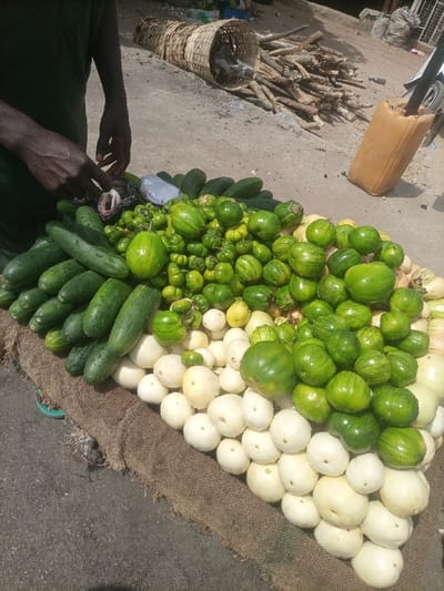 An outdoor market scene in Gulum, Nigeria, displays an array of fresh produce. A vendor, visible from the chest up and wearing a dark top, extends their left hand over a black plastic bag containing dried fish, situated atop a display of vegetables. The produce is arranged on a coarse, woven fabric spread on the ground. To the left, a pile of green cucumbers, some with visible moisture, is present. In the center, a large collection of small, irregular-shaped green vegetables, consistent with garden eggs, is visible. To the right, numerous round, white vegetables, also resembling garden eggs, are piled. Another cluster of round to oval-shaped green, striped vegetables is positioned on the far right. In the background, an unpaved ground surface is visible. A large, horizontally oriented woven basket lies behind the produce, alongside a significant pile of cut wooden sticks or branches. A faded yellow plastic jerrycan stands upright on the right, partially obscured by a motorcycle tire and frame visible behind it.