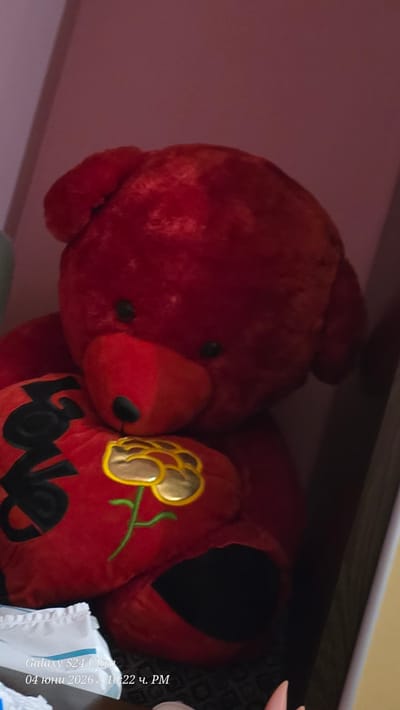 The image captures a close-up of a large, red plush teddy bear embracing a red heart-shaped pillow. The teddy bear has black button eyes and a red snout, with its fluffy texture clearly visible. The heart-shaped pillow features a golden floral design, possibly a rose, with green stems, and the word "LOVE" is partially visible in black lettering on its lower portion.

The setting appears to be indoors, with a soft pink background on the left suggesting a wall, and a darker, textured surface or shelf above and to the right. A small, white, ruffled object, possibly part of a pillow or blanket, is partially visible in the bottom right corner. The overall impression is one of comfort and affection.

Visible text overlaid on the image metadata includes "Galaxy S24 Ultra", "04 юни 2026 г.", and "10:22 ч. PM". This indicates the photograph was taken with a Samsung Galaxy S24 Ultra on June 4, 2026, at 10:22 PM. The image is oriented sideways, appearing as if rotated 90 degrees clockwise. The scene takes place in Shanovo, Bulgaria.