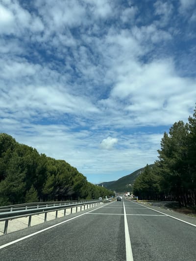 The image displays a multi-lane asphalt highway in Menteşe, Turkey, captured from the perspective of a vehicle moving forward. The sky is predominantly blue with scattered white altocumulus clouds. The road features clear white lane markings, including a solid central divider and broken lines delineating individual lanes, suggesting at least two lanes for forward travel and opposing traffic. A metal guardrail extends along the left side of the road, bordering a dense, uniform line of tall coniferous trees. A similar dense line of coniferous trees frames the right side of the road. In the midground, several passenger vehicles are visible on the highway, proceeding in both directions. Distant mountains, sparsely vegetated, rise on the horizon. Faint structures, including what appears to be a mosque minaret, are discernible against the mountains in the far distance, indicating proximity to an urban or semi-urban area. No individuals are explicitly visible.