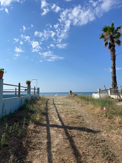 The image depicts a sunlit beach path leading towards the sea in Skala Avdiron, Greece. A dirt path, partially covered with dry grass and weeds, dominates the foreground. Two distinct shadows, cast by an unseen object, stretch across the path. To the left, a low, light blue wall runs along the edge of the path, topped by a railing. Several potted plants are placed on top of the wall. Further down the path, a lone palm tree stands tall on the right side, its fronds rustling in the breeze. The sea is visible in the distance, a calm, blue expanse meeting the horizon under a bright blue sky dotted with scattered white clouds. A small white structure and a red and white flag are visible on the beach. There are no people visible in the image. The scene suggests a quiet, warm day at a somewhat untended beach.