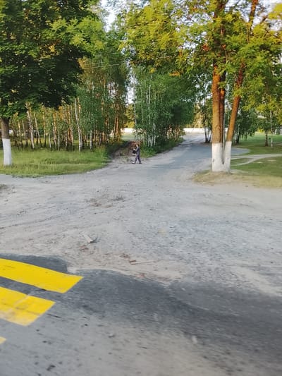 The image shows a dirt road that forks into two paths, surrounded by trees and grass. On the left side of the road, there are many birch trees. On the right side, there are larger trees with white painted bases. A person is walking on the right path, carrying a dark bag. In the foreground, yellow road markings are visible on the asphalt. This scene is located on Leninskaya Street in Zhlobin, Belarus.