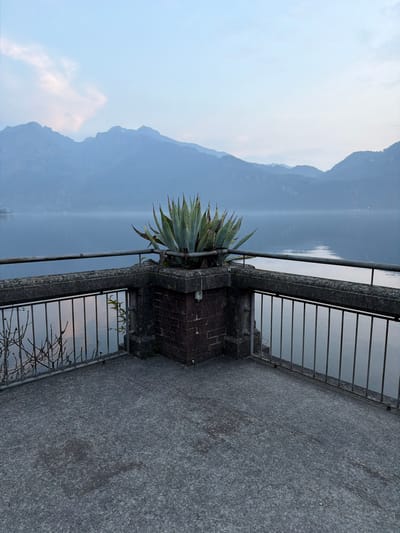 A static photographic record depicts a tranquil waterscape in Mandello del Lario, Italy, framed by a concrete viewing platform and balustrade. The foreground comprises a dark grey, textured concrete surface, indicating an outdoor observation point. A low concrete balustrade with a flat top extends across the midground, featuring vertical grey metal bars as railing overlooking a body of water. At a corner of this balustrade, a square pillar faced with red brick supports a substantial agave plant, characterized by numerous rigid, grey-green succulent leaves, contained within a concrete planter. To the left of the pillar, bare, dormant tree branches are visible extending from below the railing, casting reflections on the water's surface. The background features a wide expanse of calm, reflective water, bordered by multiple layers of distant mountains appearing muted blue-grey due to atmospheric haze. The sky above is a pale blue with faint, diffuse cloud formations, suggesting a low-light condition, consistent with either dawn or dusk. No individuals, animals, or active subjects are present in the scene.