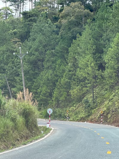 The image depicts a winding asphalt road through a densely forested area. On the left side of the road, tall, dry grasses grow on a steep embankment. A utility pole with electrical wires is visible on this embankment. On the right side of the road, a series of road signs are present. These include a circular sign with red and white stripes, a white post with red markings, and two yellow chevron signs on red and white striped posts. The road itself has yellow dashed lane markers and reflective yellow road studs. The background is dominated by a thick forest of pine trees, with some deciduous trees interspersed. The sky is overcast. The scene is likely a rural or mountainous area outside of a major urban center. The context of "Tu Póh, Vietnam" suggests this is a road in that specific region, likely a mountainous or hilly area given the terrain and vegetation. There are no people visible in the image.
