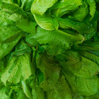 The image shows a close-up, top-down view of a pile of fresh, vibrant green lettuce leaves. The leaves are layered and crinkled, with visible veins and some subtle variations in color, ranging from a bright emerald green to a slightly darker, richer green in some areas. The texture appears slightly glossy, suggesting they may have been recently washed or are naturally moist. There are no people, actions, or specific environmental context discernible within the frame, making it a purely botanical close-up. The provided crops offer slightly zoomed-in sections of the lettuce, highlighting the detailed textures and colors of the individual leaves. There is no information that allows for a location in the city of Los Teques, Venezuela to be identified.