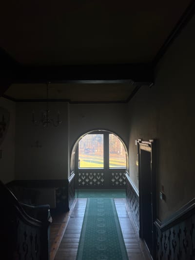 The image depicts a dimly lit interior hallway or landing within a building located in Kliczków, Poland. Natural light streams from a large, arched window at the far end of the hallway, illuminating an exterior scene. The interior features dark wooden floorboards, covered by a long, narrow green runner rug extending towards the window. Dark wooden banisters with carved, openwork patterns are visible on the left and right, indicating staircases. The lower portions of the walls are adorned with dark wooden paneling featuring a repeating pattern of stylized quatrefoils, while the upper walls are a lighter, neutral tone with dark trim.
A dark, ornate metal chandelier with three arms hangs from the ceiling on the left side of the hall. Further left, a wall-mounted radiator is present, and a shield-shaped object with a dark design is partially visible on the wall. On the right, an open doorway with a dark, heavy wooden frame leads into an unseen, dark interior space.
Through the arched window, a bright outdoor environment is visible under direct sunlight. This includes a grassy area, a dirt path, and a dense treeline composed of deciduous trees in autumn colors and some evergreens. A small, dark shelter or gazebo with a pointed roof is discernible in the middle distance of the exterior view. No individuals or animals are present in the scene.