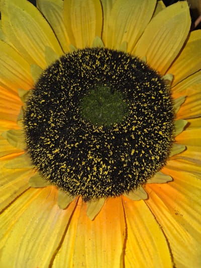 A close-up, overhead shot shows a yellow sunflower. The center of the sunflower is black with small yellow specks. The petals are a vibrant yellow and appear to be made of fabric. The image is brightly lit, highlighting the texture of the petals and the fuzzy center of the flower.