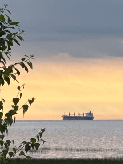 A freighter is sailing on a calm body of water under a gradient sky, transitioning from a dark gray at the top to a soft orange and yellow near the horizon. In the foreground, foliage from a tree with dark green leaves partially obscures the view. The water is a muted gray and shows a subtle ripple pattern. The ship, appearing dark and silhouetted against the lighter sky, is positioned horizontally in the mid-ground, its deck structure visible. The overall scene suggests a serene evening or early morning setting on the coast of Lebyazhye, Russia.