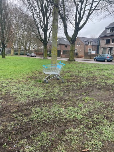 The scene depicts an abandoned shopping cart in a park-like green space located in 's-Hertogenbosch, Netherlands, on an overcast day.
In the foreground and midground, a muddy, sparse grassy area dominates, showing numerous tire tracks or foot traffic patterns in the dark soil. Small green grass shoots are visible throughout the disturbed ground. A single metal shopping cart, featuring light blue plastic trim on the handle and child seat flap, rests diagonally on the grass and mud, leaning forward towards the right. Its basket is empty.
Behind the shopping cart, several deciduous trees with bare branches stand, one of which in the midground exhibits patches of light green moss or lichen on its trunk. Further back, a paved street runs horizontally across the image. A light blue hatchback car is parked on the right side of the street, facing left. To the left along the street, two darker-colored vehicles, possibly an SUV and a sedan, are visible. Across the street, a row of two-story residential buildings constructed of brown brick with dark pitched roofs and white-framed windows are present. The sky above is uniformly light grey, indicating an overcast condition. No individuals are visible in the frame.