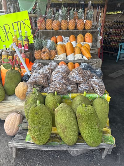 The image shows a fruit stand in Puente Nacional, Mexico. The stand is stocked with pineapples, papayas, tamarind in plastic bags, and jackfruit. There are also bottles of what appear to be sauces or condiments. The stand itself is a simple wooden structure. A yellow sign is partially visible in the lower left corner. The backdrop includes a wall with shelves stocked with bottles and various items. The surrounding environment appears to be outdoors.