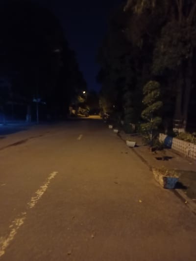 The image depicts a dimly lit road at night. Trees line both sides of the road, obscuring the buildings in the background, suggesting a park or residential area. The road surface appears paved, with a faded white line marking the center or edge. There are small plants in white pots along the side of the road, bordering a low fence. The lighting is sparse, with some streetlights casting a warm glow. Based on the environment and architectural style, it is possible that the location could be near a park or residential area in Rawalpindi, Pakistan. However, without further details, it is impossible to definitively confirm this.