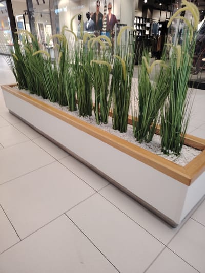 This media file depicts an indoor scene, likely a shopping mall or a large retail store, given the presence of mannequins in the background showcasing clothing. In the foreground, a long, white planter box with a wooden trim contains a dense arrangement of artificial tall, green grass with feathery, light-colored plumes. The planter sits on a light-colored tiled floor.
The background shows a store interior with various racks of clothing and mannequins. One mannequin is wearing a dark suit and tie, while another is dressed in a burgundy top and sunglasses. Further back, another mannequin is seen wearing a dark suit. The overall lighting suggests it is daytime, and the environment is well-lit, consistent with an indoor commercial space. The setting is modern and clean, with the tiled floor providing a neutral backdrop. There is no discernible weather element as the scene is indoors.
The scene is static and focuses on the decorative planter and the store environment. The arrangement of the grass suggests it's a decorative element to enhance the ambiance of the commercial space. No specific activity is taking place, and there are no discernible emotions conveyed by the subjects. The location is identified as Wołomin, Poland, but this context is external to the visual information provided in the image itself. There is no visible text within the frame of the image.