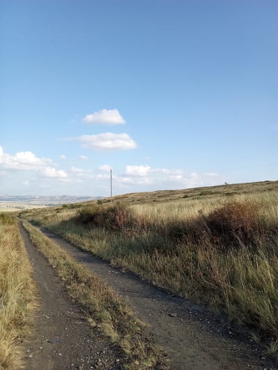 A dirt road winds through a dry, grassy hillside under a blue sky dotted with white clouds. In the distance, rolling hills fade into the haze. A single utility pole stands near the crest of the hill, with power lines stretching across the frame. The vegetation is mostly dry grass and scattered bushes, with some patches of reddish-brown foliage. The scene suggests a rural or semi-rural environment.