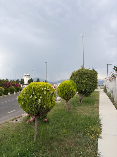 This image depicts an outdoor scene in Golubovci, Montenegro. The foreground features several neatly trimmed, round bushes, some with small white flowers, planted along a paved road and a grassy verge. Behind these bushes, there is a white, modern-looking building, possibly an airport control tower, with various antennas on its roof. Beyond the building, mountains are visible in the distance under a cloudy sky. The weather appears overcast. The presence of streetlights and a paved road suggests an urban or semi-urban environment, likely an airport or a facility with public access. The overall impression is one of a well-maintained landscape. There is a speed limit sign with "20" visible on the road.