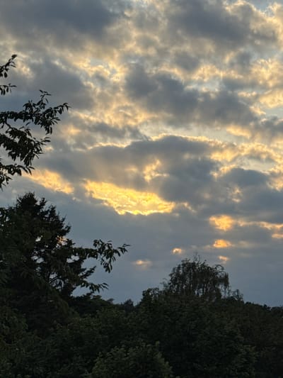 The image depicts a cloudy sky with sunlight breaking through the clouds, creating shafts of golden light. Silhouetted against the sky are the tops of dark green trees, with some branches of a leafy tree visible in the foreground. The scene appears to be an outdoor natural setting, possibly a park or a residential area with abundant greenery. The lighting suggests it might be late afternoon or early evening, given the warm glow of the sunlight. The location is identified as being in Stolberg, Germany.