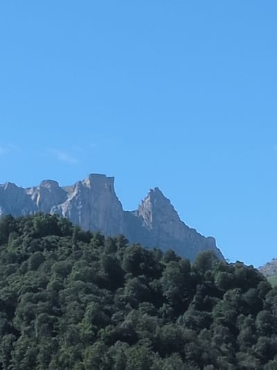 The image shows a mountainous landscape under a clear blue sky. In the foreground, a dense, dark green forest covers a hillside. Behind the forest, rugged, grey mountains rise sharply, with visible peaks and sheer rock faces. One prominent peak has a distinctive, almost tabular top with jagged edges. The mountains appear to be made of sedimentary rock, with visible layers and fractures. The overall impression is one of a wild and natural environment. The location is Toğanalı, Azerbaijan.