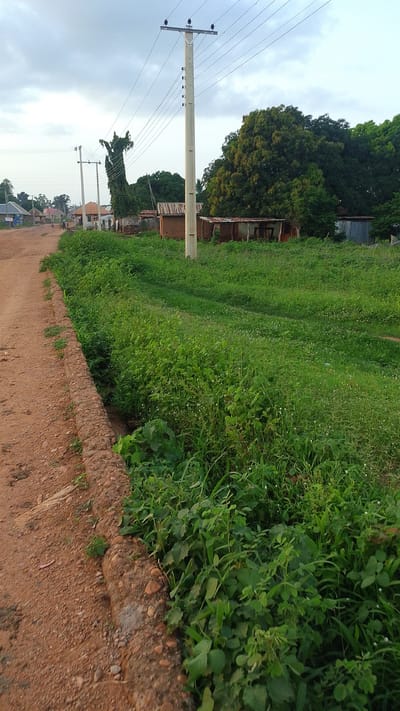 The image depicts a rural street scene in Donga, Nigeria. A dirt road with a stone-lined drainage ditch runs along the left side of the frame. The ditch is filled with lush green vegetation, including small white flowers. Beyond the ditch, the landscape is characterized by abundant green grass and trees. In the background, several structures are visible, including buildings with corrugated metal roofs and what appear to be mud brick walls, suggesting a residential area. Utility poles with power lines are prominent in the scene, indicating the presence of electricity infrastructure. The sky is overcast with a pale grey hue, suggesting a cloudy day. No people or animals are clearly visible in the image.