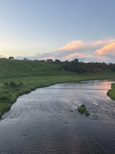The image depicts a serene river landscape at dusk, situated near the city of Zubtsov, Russia. The foreground is dominated by a wide, dark river with gentle ripples, reflecting the soft hues of the sky. A small, lush green island, covered in dense vegetation, is visible in the middle of the river. The riverbanks are lined with vibrant green grass and foliage, with a gently sloping grassy hill rising behind them. Several houses with dark roofs are scattered along the crest of the hill, hinting at a nearby settlement. In the background, a dense line of trees forms a dark, natural barrier along the upper edge of the hill. The sky above is a pale blue, gradually transitioning to warmer tones of pink and orange near the horizon, illuminated by the setting sun. Wispy clouds, tinged with these sunset colors, drift across the upper portion of the frame. A thin, horizontal wire stretches across the middle ground of the image, suggesting a bridge or power line. The overall atmosphere is tranquil and natural, characteristic of a rural or semi-rural environment.