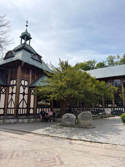 In Świeradów-Zdrój, Poland, a scene unfolds in front of a traditional wooden and white-paneled building with a distinctive green-tiled roof and a small turret topped with a weather vane. Two men are seated on a low stone wall in front of the building, one with a dark t-shirt and shorts, the other in a pink striped shirt and shorts. A dog, appearing to be a Staffordshire Bull Terrier or similar breed, sits between them.
Beside the men, two large, rough-hewn stones stand on the cobblestone ground. The stone on the left has text etched into it, and the stone on the right features a circular emblem with text above and below it. A large, leafy evergreen tree, possibly a yew, partially obscures the building's facade and extends into the foreground. Behind the tree, the building features large, multi-paned windows and a sign reading "MUZEUM ZDROJOWE" (Health Resort Museum). The ground is paved with light-colored cobblestones, with a pathway of larger, reddish-brown rectangular stones in the foreground. The sky above is cloudy with patches of blue. Trees with green foliage are visible in the background.
