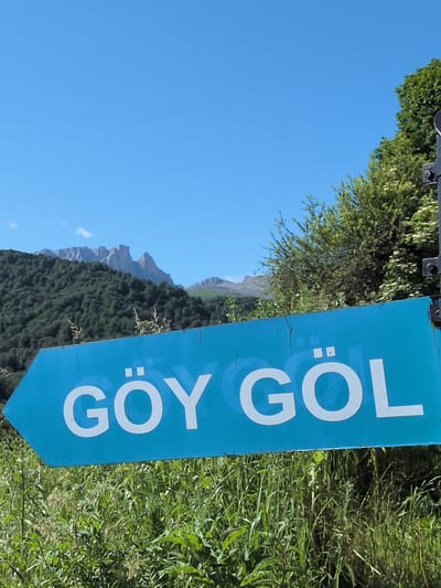 A bright blue directional sign with white lettering reading "GÖY GÖL" points left. The sign is cracked in several places and appears to be made of metal. It is positioned in a natural, outdoor setting. In the background, a lush green forest covers a mountainside, and jagged, rocky mountain peaks are visible against a clear blue sky. The foreground consists of tall, green grass and other vegetation, suggesting a rural or wilderness area. The image was taken in the vicinity of Toğanalı, Azerbaijan.