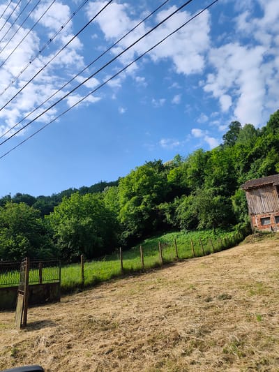 A low-angle, wide shot captures a rural scene under a bright blue sky dotted with white, fluffy clouds. In the foreground, dry, cut grass covers a sloping field. To the left, a rusty, wrought-iron gate stands open, attached to a moss-covered concrete wall. A thin, wire fence stretches across the middle ground, marking the boundary between the dry field and a vibrant green, grassy slope. Beyond the fence, a dense forest of lush green trees covers a hillside, with a small, weathered wooden structure partially visible on the right side of the frame, its red-tiled roof peeking out from behind the foliage. Overhead, multiple dark power lines crisscross the sky, adding a man-made element to the natural landscape. The overall impression is one of a quiet, rural setting, possibly in the outskirts of Lesidren, Bulgaria, with evidence of recent agricultural activity.