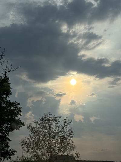 This media file depicts a sky scene, likely captured in Ryahovo, Bulgaria. The sun is visible as a bright, diffused orb in the upper center of the frame, partially obscured by dramatic, dark grey clouds. Streaks of lighter clouds, illuminated by the sun, create a sense of depth and texture in the sky. The overall mood is atmospheric and perhaps a bit dramatic, suggesting either the approach or departure of a storm.
The lower portion of the image features the tops of trees. On the right, a larger tree with a dense canopy and thin branches is visible against the sky. On the left, a silhouette of a bare, intricate tree branch is prominent, suggesting it might be winter or early spring, or simply a deciduous tree that has shed its leaves. Another smaller cluster of dark green foliage is visible at the bottom center, possibly another tree or shrub.
The lighting suggests it could be late afternoon or early evening, or a period with overcast skies. The contrast between the dark, ominous clouds and the bright sun creates a visually striking effect. No people, objects, or text are discernible in the image. The scene evokes a sense of natural grandeur and the power of weather.