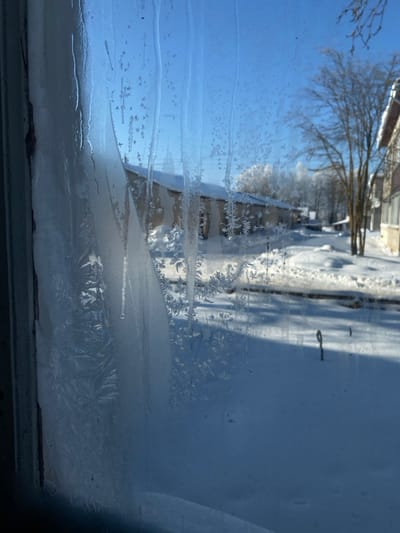 The image presents a frosted windowpane overlooking a snow-covered outdoor scene in Карабоўскі сельскі Савет, Belarus. The interior of the window is heavily adorned with intricate fern-like ice crystals and vertical ice formations, some appearing as frozen drips, with a clear water droplet hanging from one formation near the center-left. A weathered, dark wooden window frame is visible along the left edge. Beyond the window, the ground is completely blanketed in white snow under a clear, bright blue sky. Long shadows are cast across the snow, suggesting direct sunlight. Multiple buildings are visible: a long, low-rise structure with a snow-covered pitched roof and light-colored walls runs along the left side of the midground, and part of another building is seen on the far right. Bare deciduous trees, also covered in a light layer of snow or frost on their branches, are scattered across the landscape, particularly towards the right and background. No people, animals, or active interactions are present in the scene.