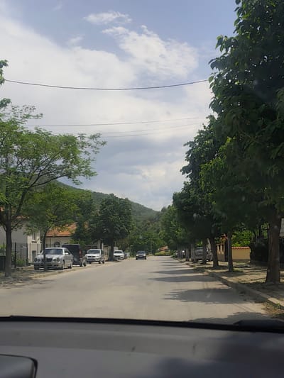 Captured from a vehicle interior, the image portrays a street scene in Jeleznitsa, Bulgaria. The overcast sky casts soft light over the asphalt road flanked by trees. Cars are parked on the left side of the street. A mountain is visible in the distance. Overhead power lines stretch across the sky. The scene lacks human presence.