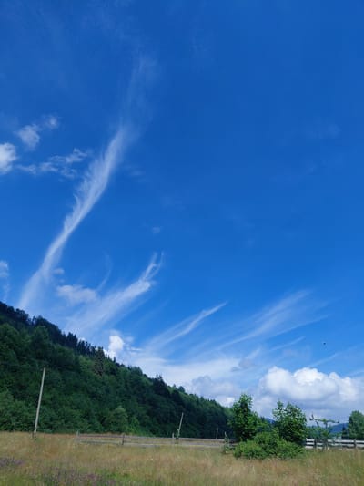 This is a full-frame, vertical shot of a landscape in the city of Chernyk, Ukraine. The image captures a bright, sunny day with a clear blue sky populated by wispy white cirrus clouds. A dense, green forest covers a hillside that slopes down from the upper left to the center of the frame. In the foreground, a field of dry, golden-brown grass is dotted with small purple flowers. A rustic wooden fence runs horizontally across the middle ground. Two utility poles with wires are visible on the left side of the frame, positioned within the grassy field and against the backdrop of the forest. The overall scene depicts a rural, natural environment under a vast sky.