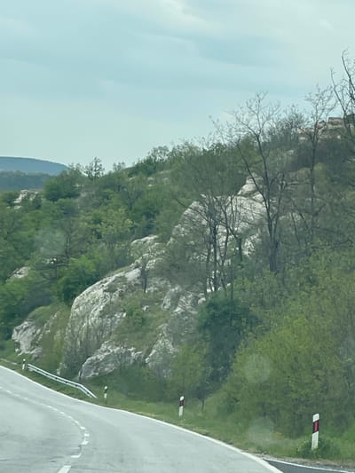 The image captures a winding asphalt road cutting through a hilly or mountainous landscape. The road, which appears to be two-laned, features a solid white line on its outer edge and dashed white lines in the center, indicating a curve to the left. A metal guardrail runs along the right side of the road, accompanied by small white and red reflective marker posts spaced intermittently along the roadside.
To the left of the road, a steep hillside rises, densely covered with varied green foliage and numerous trees. Prominent grey and white rocky outcrops are visible throughout the hillside, interspersed among the greenery, suggesting a rugged geological formation. Some trees, particularly in the upper and middle sections of the hill, have visible bare branches or sparse early spring leaves.
The sky in the upper portion of the image is a uniform light blue, suggesting an overcast or hazy daytime condition. In the far distance, faint outlines of additional hills or mountains can be discerned on the left horizon. The scene is devoid of people or active events. There is no visible text in the image. The setting is a natural, rural environment, contextualized as Madrets, Bulgaria.