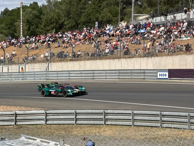 A green and black race car speeds along a track lined with metal barriers. A large crowd of spectators sits on a grassy hill behind a concrete wall and chain-link fence. The background features a row of green trees. The track has a white line marking the edge. A dark banner with white arrows sits above the barriers. The foreground shows a section of wire fencing.