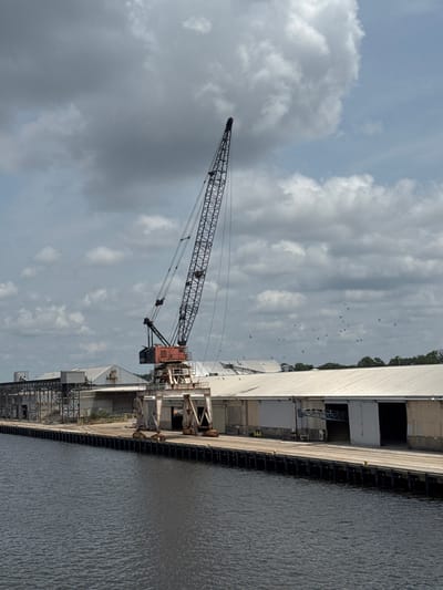 A large industrial crane stands tall against a cloudy sky over a waterfront in Brunswick, United States of America. The crane, a prominent red and black structure, is positioned on a concrete pier alongside a long, low-rise industrial building with a corrugated metal roof. The building appears to be a warehouse or storage facility, with several large openings. The water in the foreground is dark and choppy, reflecting the overcast sky. A flock of birds is visible in the distance, scattered across the sky. The scene suggests a working port or industrial area.