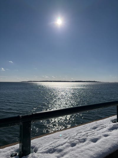 Sunlight reflects on the water’s surface. A coastline is faintly visible on the horizon. Snow covers the top edge of a structure, likely a pier or walkway. A dark, metallic railing is positioned between the viewer and the water, creating a visual barrier. The sky is clear and blue, with the sun shining brightly.